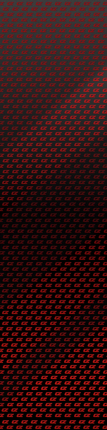 FOND SITE WEB (2).png