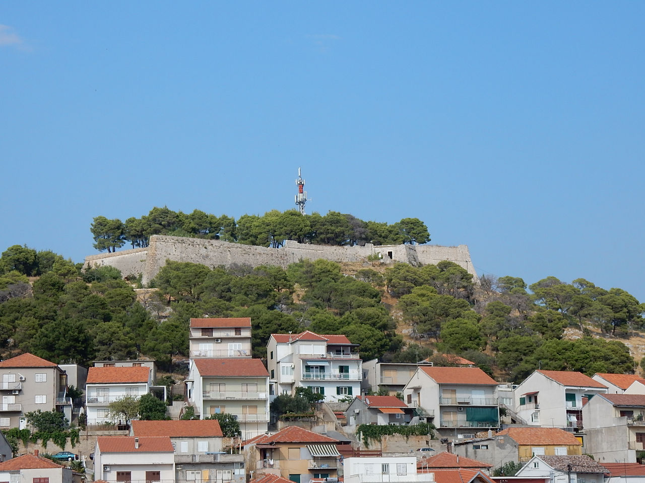 DSCN1794