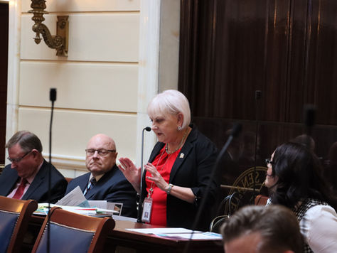 Senator Mayne Introduces Social Security Income Tax Amendments Legislation
