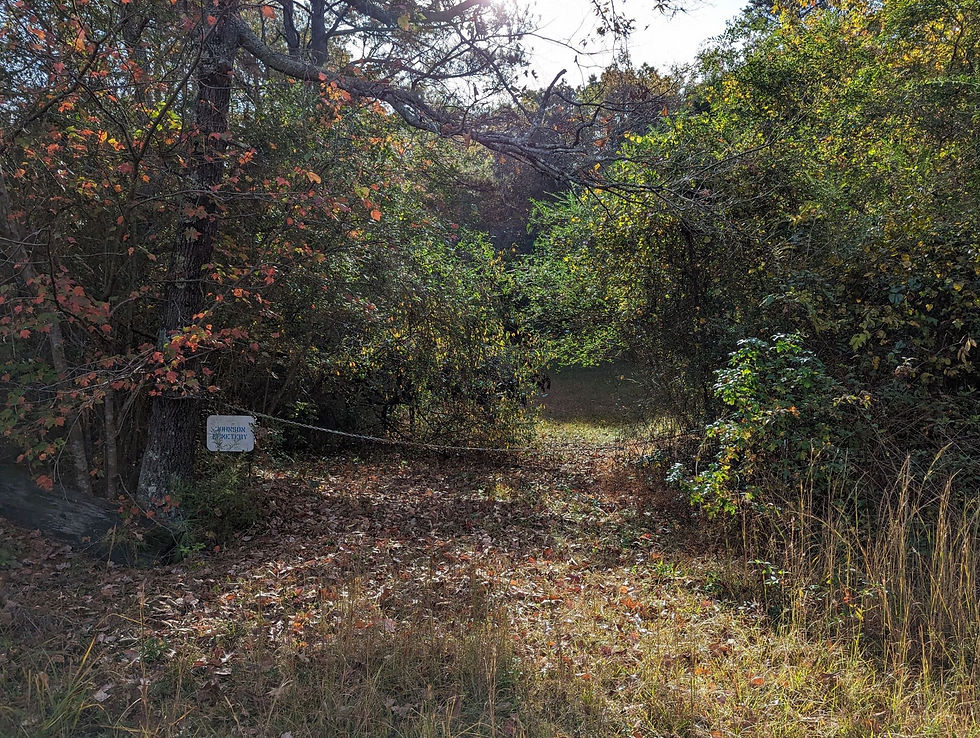JOHNSON CEMETERY.jpg