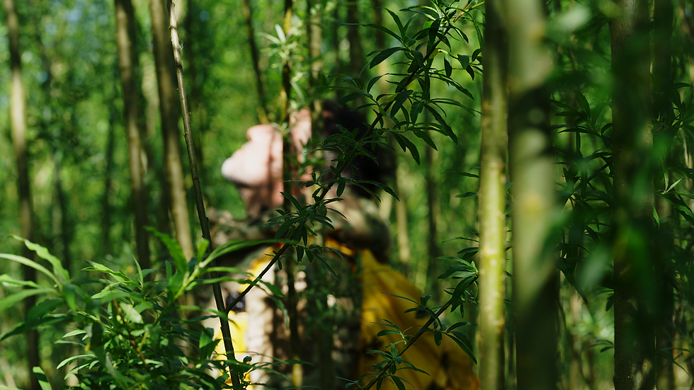 My Great outdoors Filming Gear List