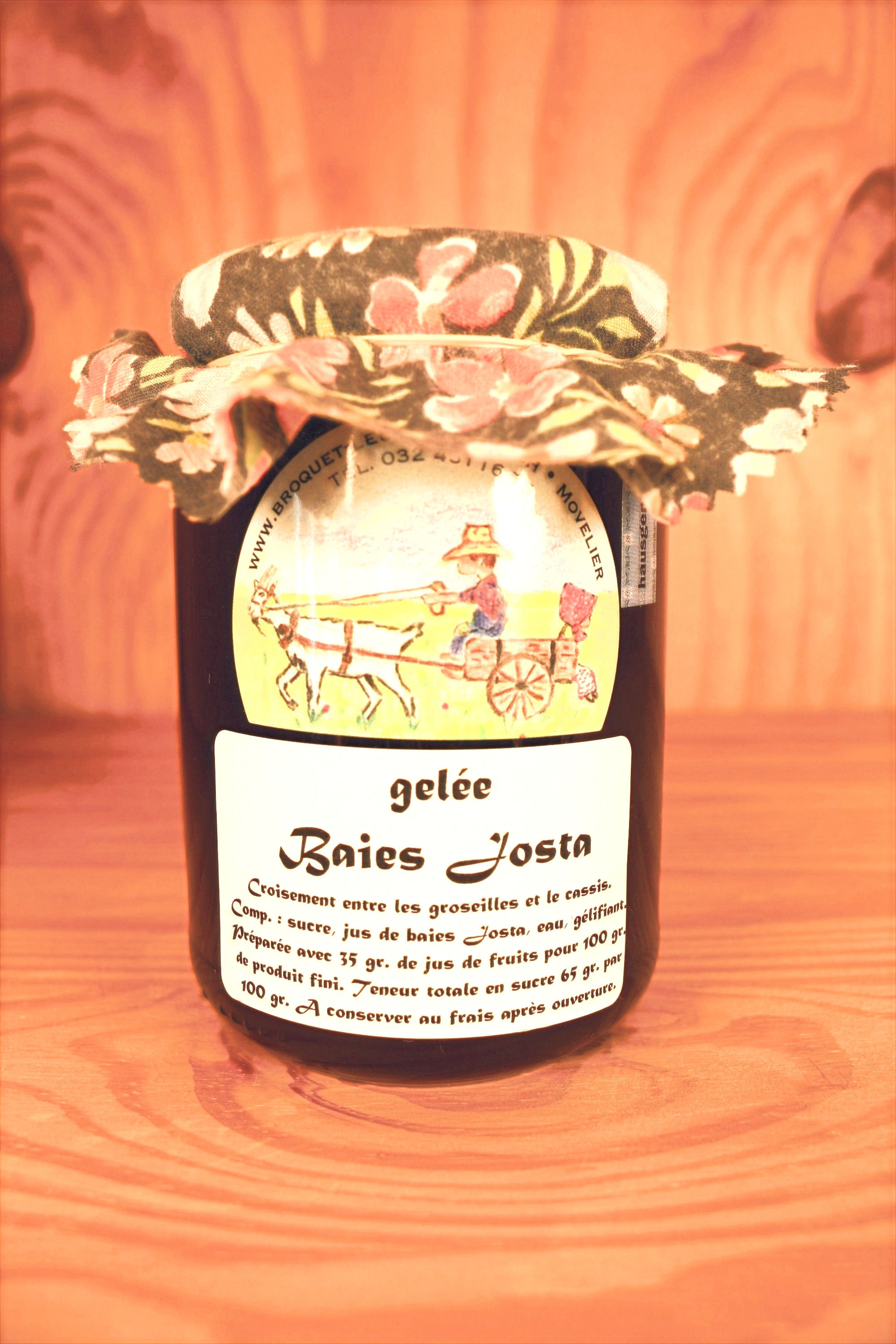 Gelée Baies Josta