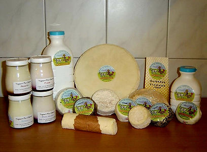 Fromage au lait de chèvre, Fromagerie fermière, chèvre frais, vente directe, lait de chèvre | A la ferme | Restauration à la ferme | Marché à la ferme | Accueil à la ferme | Consommation local | Mariage | Mariage à la ferme | Manger écologique | Alimentation durable | Emprinte carbone | Eco responsable | Alimentation rtesponsable | Bilan carbone | Impact environnemental positif | Alimentation et respect de l'environnement | Respect de l'environnement | Ecologique | Vivable | Sociale | Equitable | Economique | Durable | Développement Durable | Etique | Responsabilité | Développement durable | Alimentation saine
