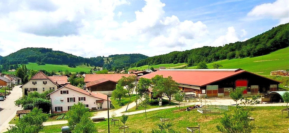 Association Broquet-Leuenberger | Movelier | Jura | Vente directe | Produits du terroir | Spécialité du Canton du Jura | Mariage à la ferme | Apéros de mariage | Folie fermière | maison de campagne | maison rurale | bâtiments agricoles