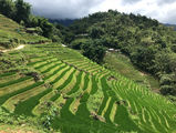 IMG_0583.jpeg