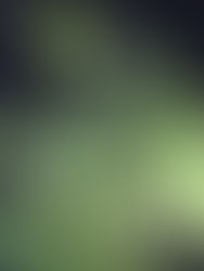 In moments of reflection, pauses, the object threatens to overwhelm the subject.
Conscious of being