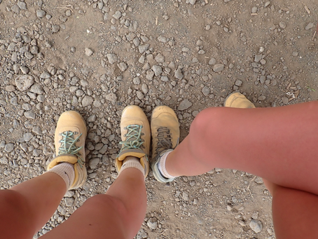 Sun, Soil, and Serotonin