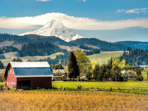 Escalation clauses, appraisal gaps, and clean terms in Oregon: how to be competitive without reckless risk