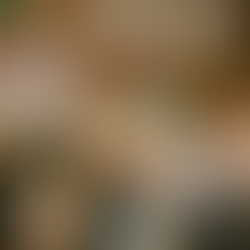 La historia de los videojuegos: conoce las primeras consolas del mercado