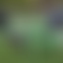 ‘Martin & Co’ Extend Their Club Sponsorship