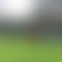 Moor Mead show their mettle to reach Cup last 16