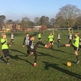 Badgers beaten at Marble Hill