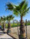 9a4008f9-300e-4f15-8292-0ef453682eff.JPG