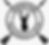 IMG_2975.jpeg