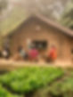 671b4181-4695-44d3-88a7-524586b45106_edited.jpg