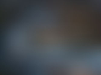 Asheville NCSS Conference logo