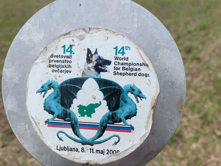 Quarta feira, 31 de agosto de 2022