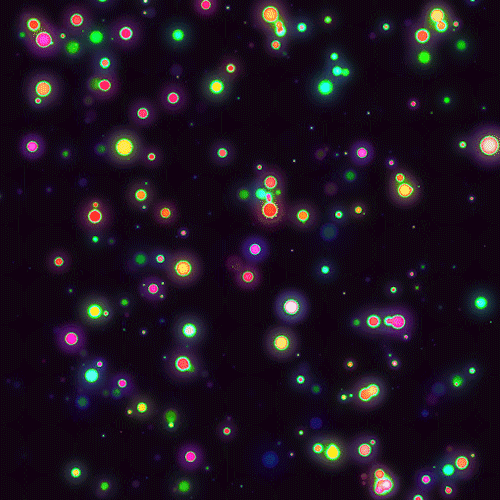 brain neural.gif