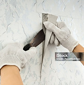 istockphoto-637512146-2048x2048.jpg