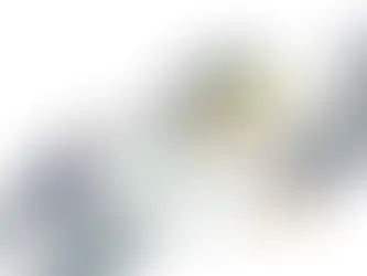 Born from stone: Animism of robots