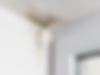 download (7).png