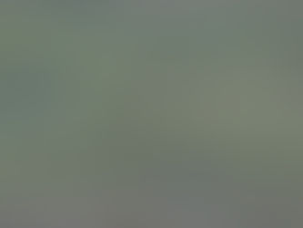 〈草原上的小孩 The Nomadic Kids〉