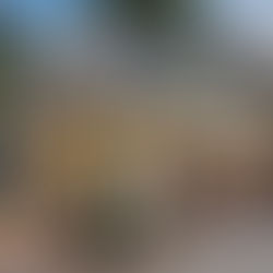 Can housing development on June ballot help Davis find its ’missing generation’?