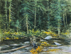 American River at 39 Mile Tract