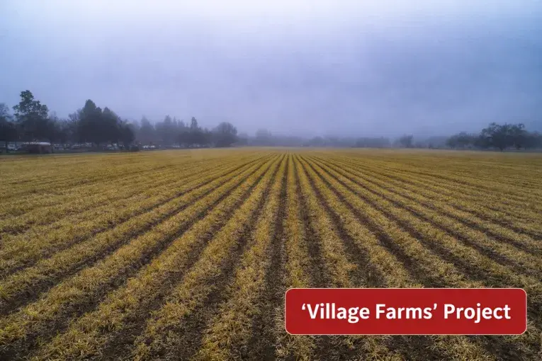 Letter: After Decades of Farmland Preservation, Davis Must Now Prioritize Housing