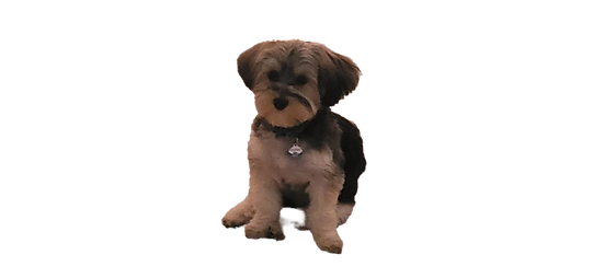 Indigo3 Marketing Mascot