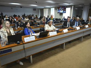 Senadores discutem impactos da regulamentação da mineração em terras indígenas | Foto: Foto: Jefferson Rudy/Agência Senado