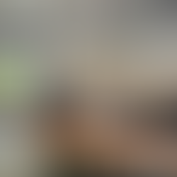 Aproximadamente 19 milhões em dívidas e infraestrutura precária: O cenário de Arcoverde revelado pela nova gestão