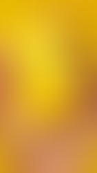 Cartão do Will Bank: braço digital do Banco Master foi liquidado pelo Bacen - Foto: Will Bank/Divulgação