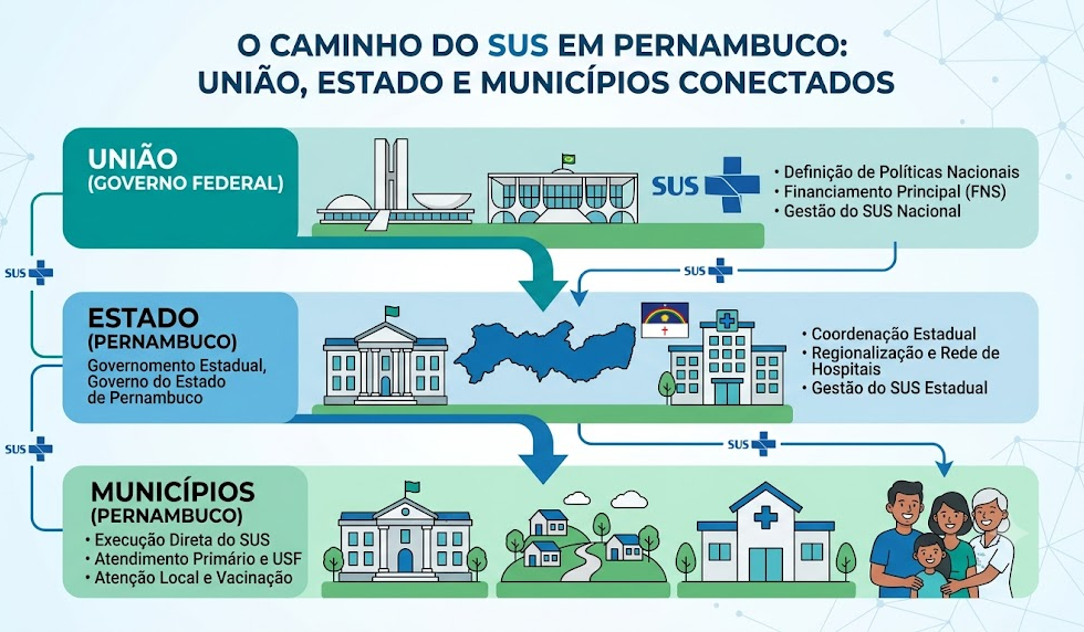 Infográfico mostra como União, estado e municípios financiam e executam o SUS em Pernambuco