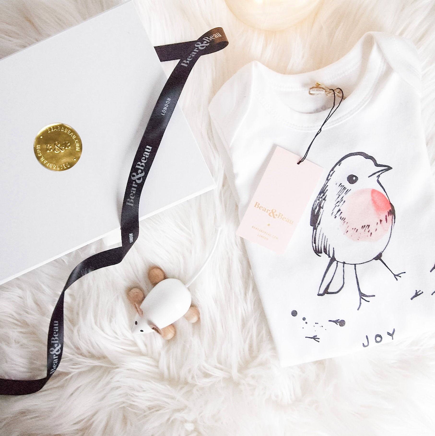 Little Robin Gift Box