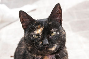 DSC_1557 as Smart Object-1.jpg