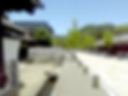 photo_tono.jpg
