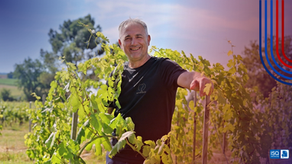 L’École du 20 : transmettre la culture du vin avec exigence et passion