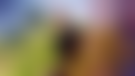 L’École du 20 : transmettre la culture du vin avec exigence et passion