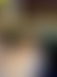 Becoming Whole: When Trust Leaves the room