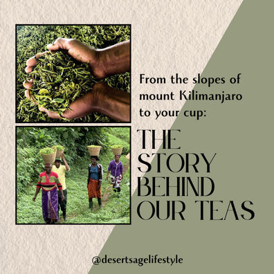 The Tea Women on the slopes