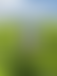 What Must Be Done to Support Kenya’s Women Tea Farmers