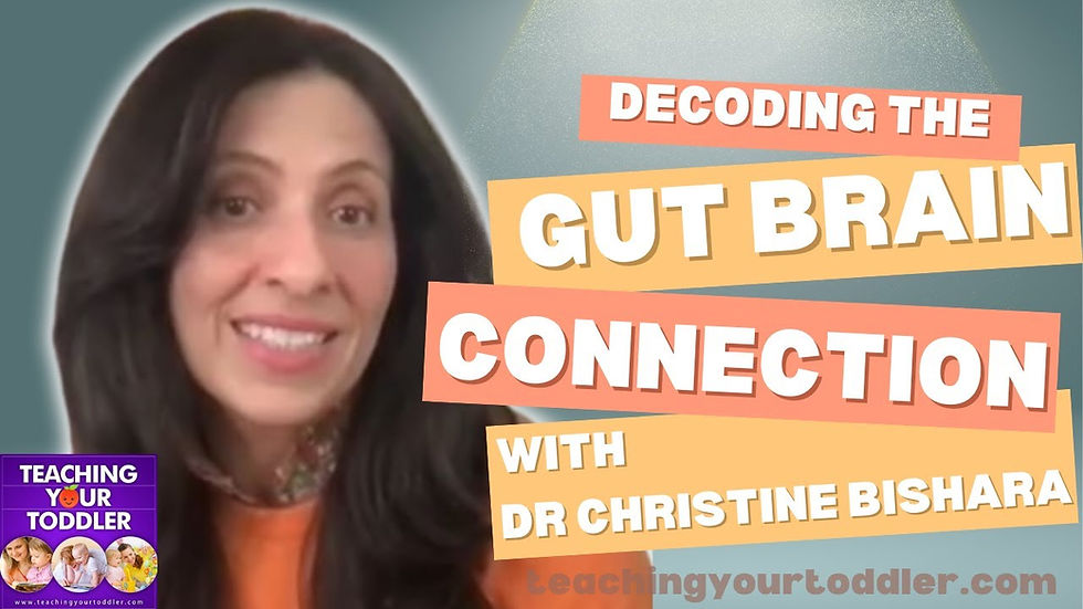 The Gut-Brain Connection Explained by Dr. Christine Bishara, Author of The Gut Revolution