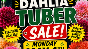 MDS May Meeting/Tuber Sale