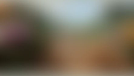 MDS March 2nd Meeting