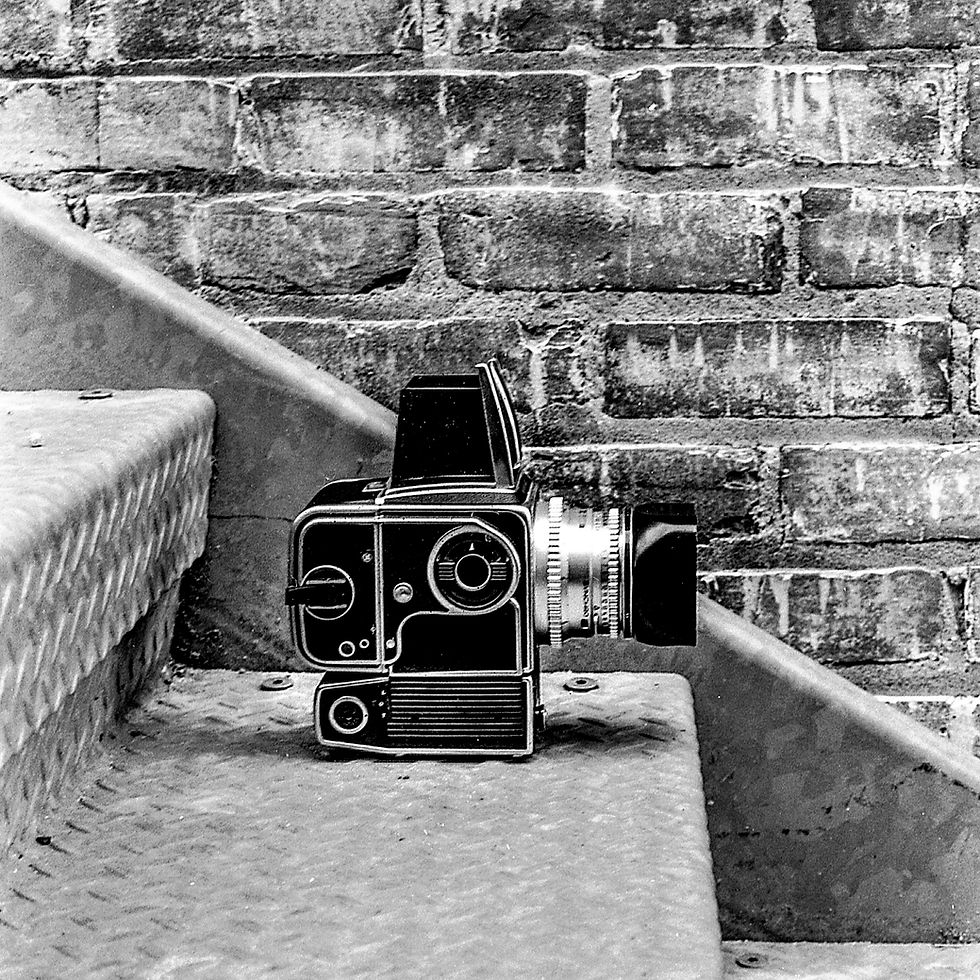 Hasselblad 500EL/M