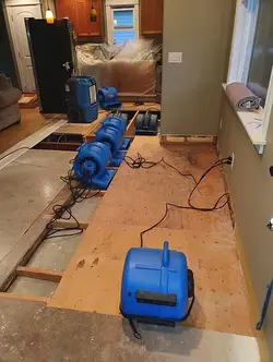 Home restoration Services Plano Tx