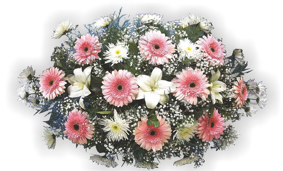 пиафлора 05 - 210 лв