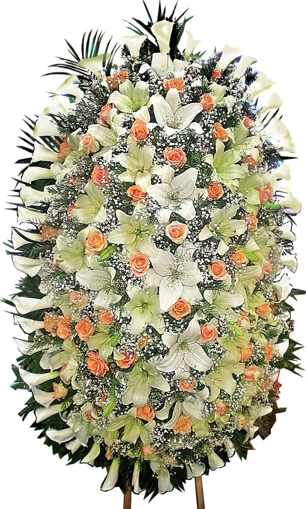 венец 25 - 430 лв