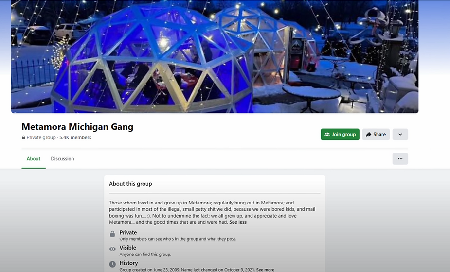 metamora michigan community